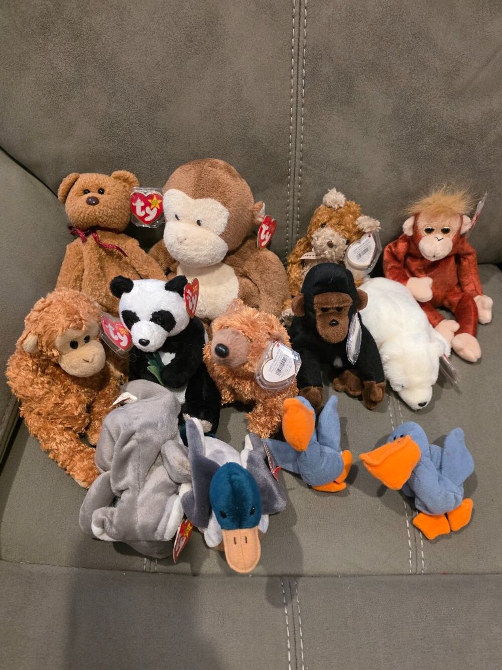 Beanie Baby Bundle